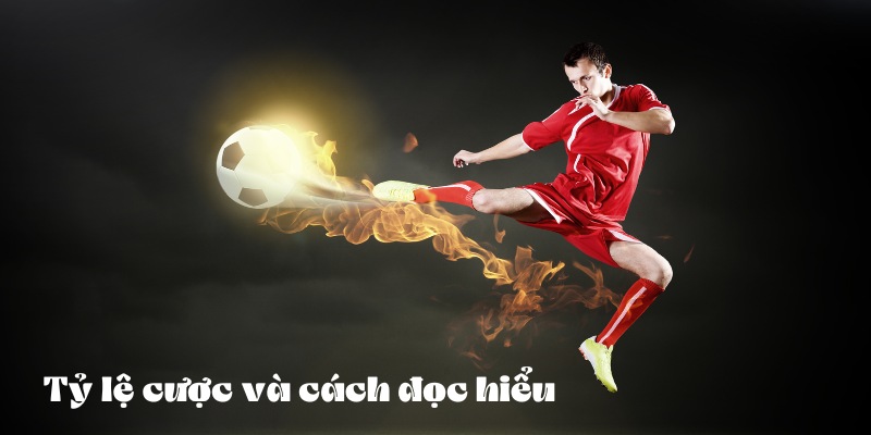 Tỷ lệ cược và cách đọc hiểu